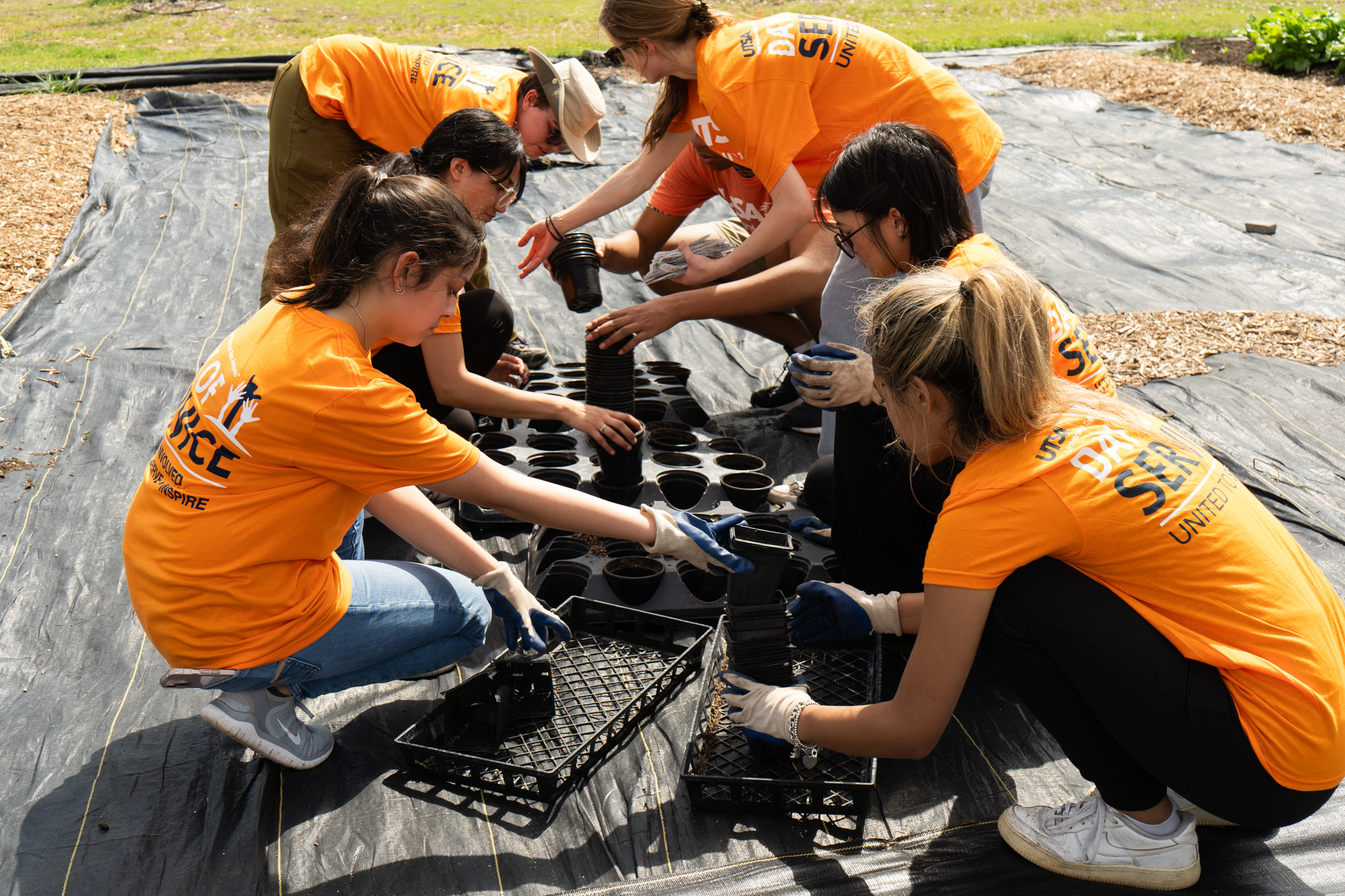 students planting flowers